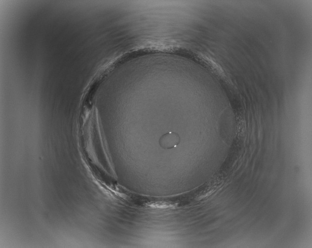 X0000071900736200608041342