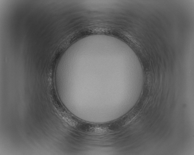 X0000071900737200608041342