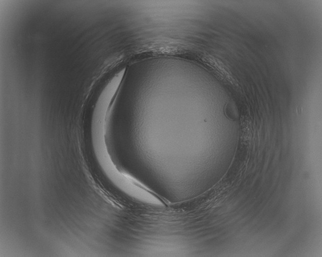 X0000071900738200608041342