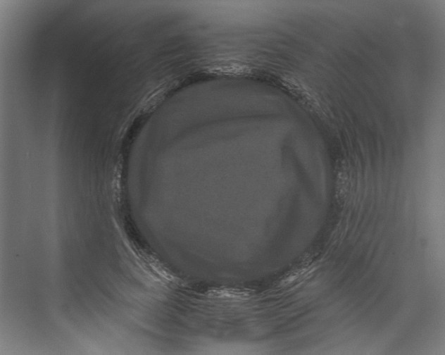 X0000071900739200608041342