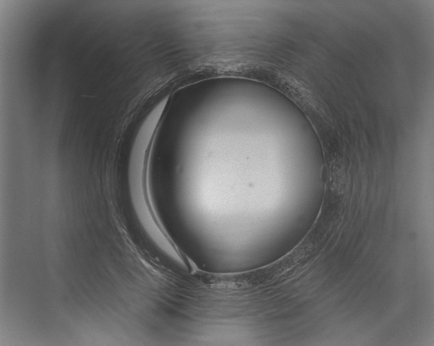 X0000071900740200608041342