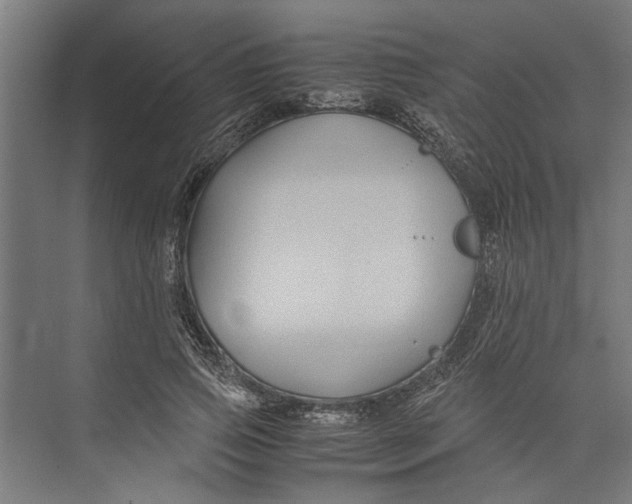 X0000071900741200608041342