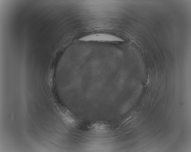 X0000071900742200608041342