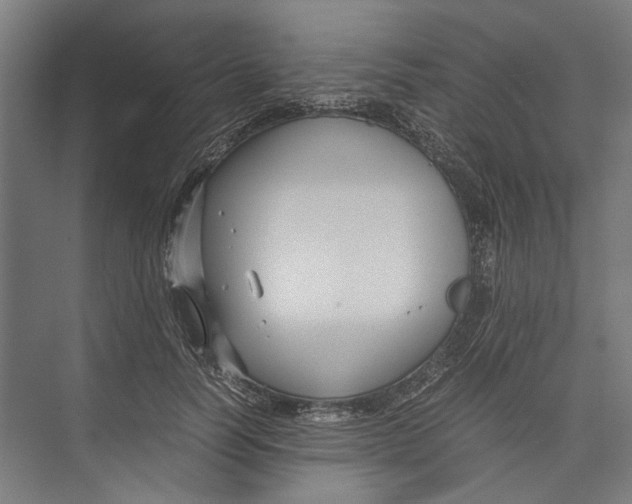 X0000071900746200608041342