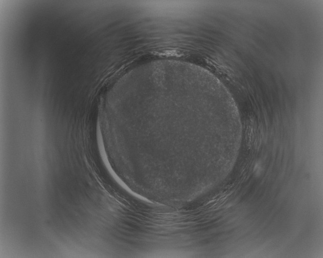 X0000071900747200608041342