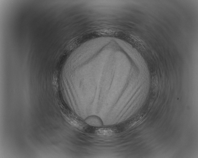 X0000071900749200608041342