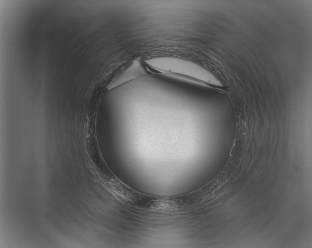 X0000071900750200608041342