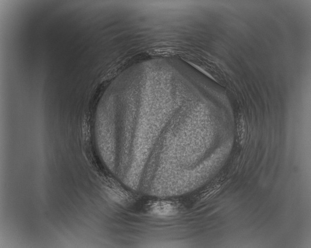 X0000071900751200608041342