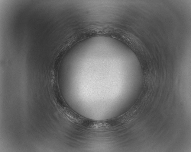 X0000071900752200608041342