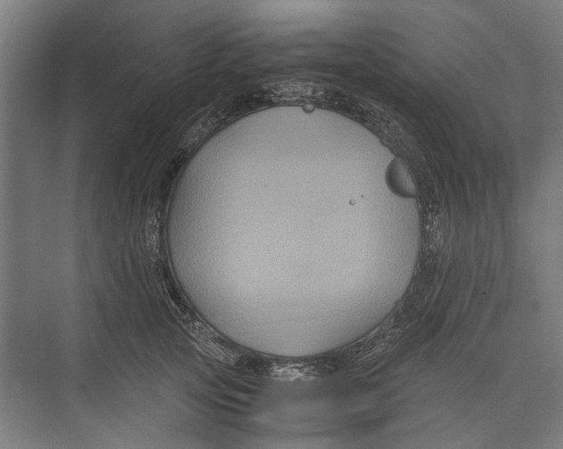 X0000071900753200608041342