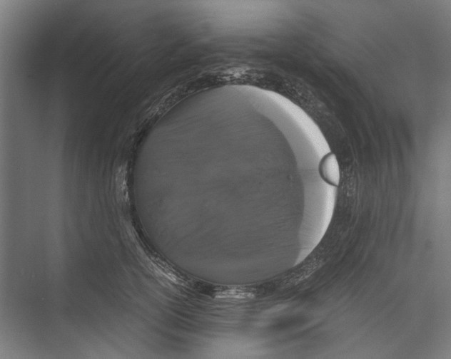 X0000071900754200608041342