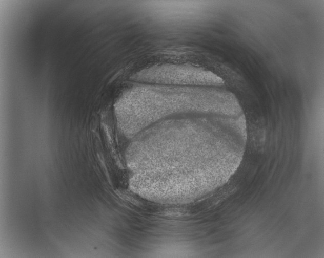 X0000071900758200608041342