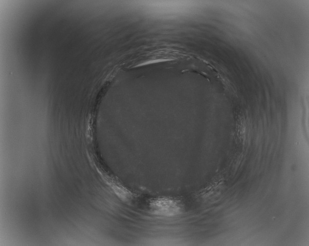 X0000071900759200608041342