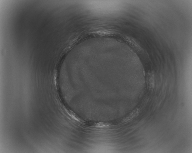 X0000071900760200608041343