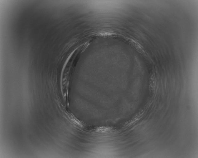 X0000071900762200608041343