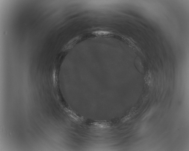 X0000071900763200608041343