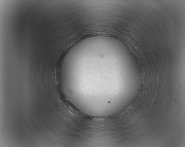 X0000071900764200608041343