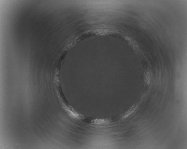 X0000071900766200608041343