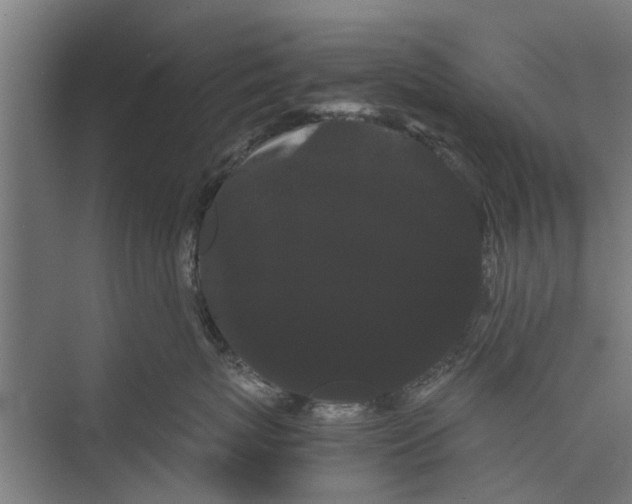 X0000071900767200608041343