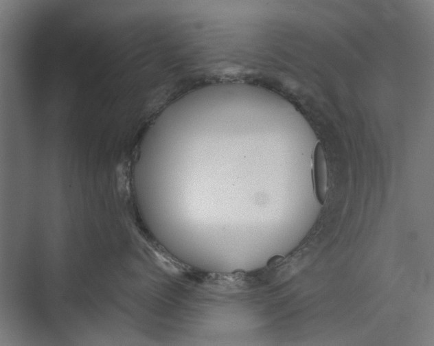 X0000071900768200608041343