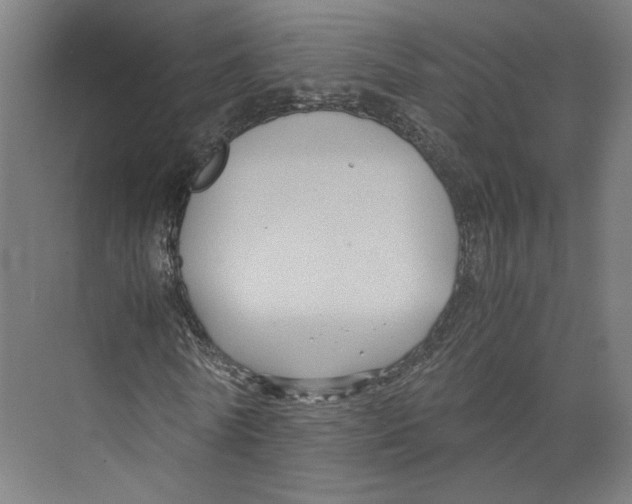 X0000071900770200608041342