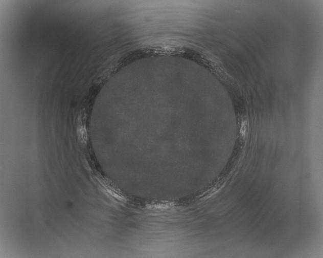 X0000071900771200608041342