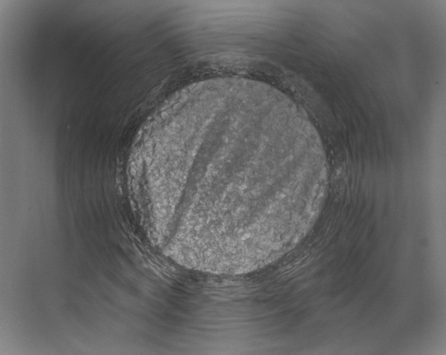 X0000071900772200608041342