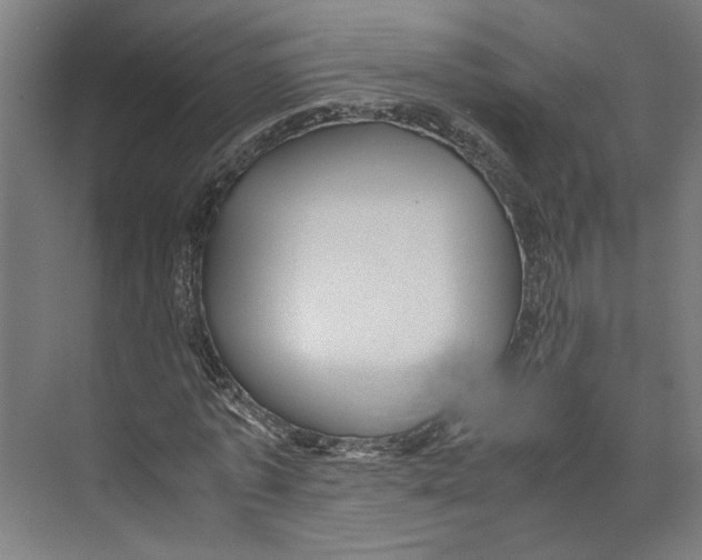 X0000071900773200608041342