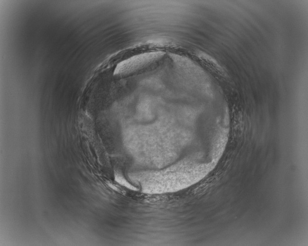 X0000071900776200608041342