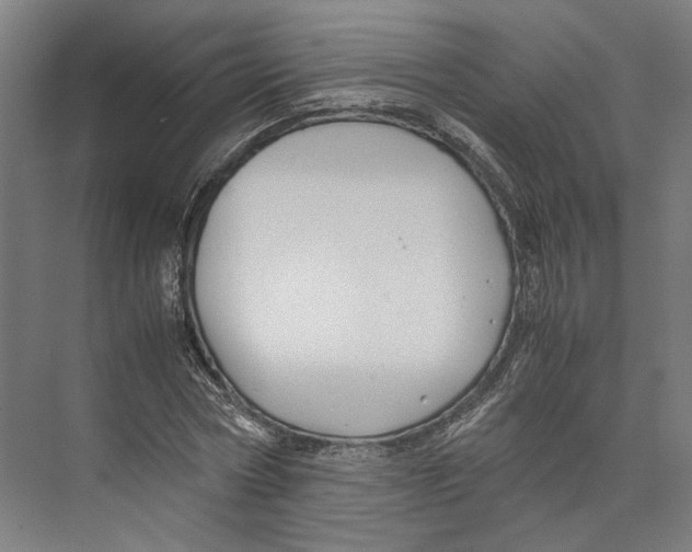 X0000071900778200608041342