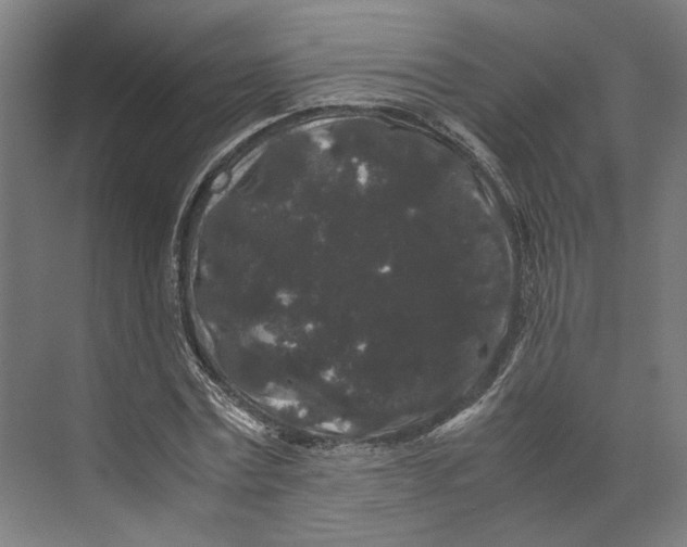 X0000071900779200608041342