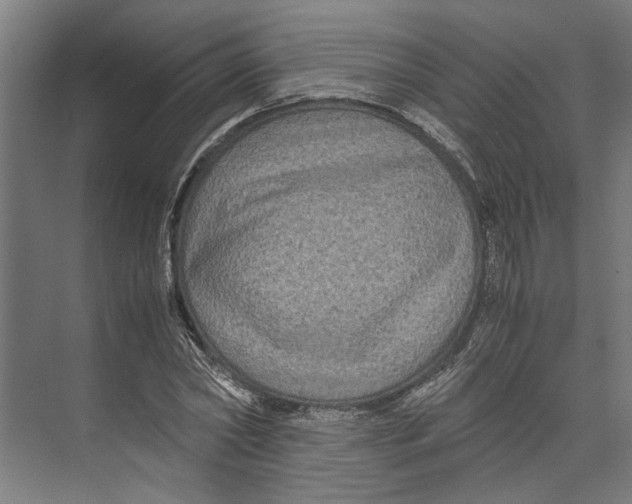 X0000071900782200608041342