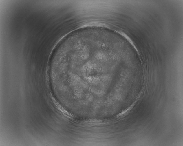 X0000071900783200608041342