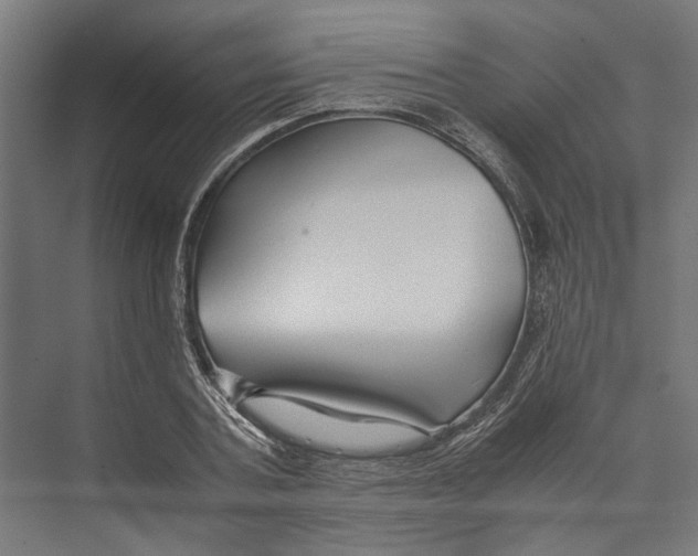 X0000071900787200608041342