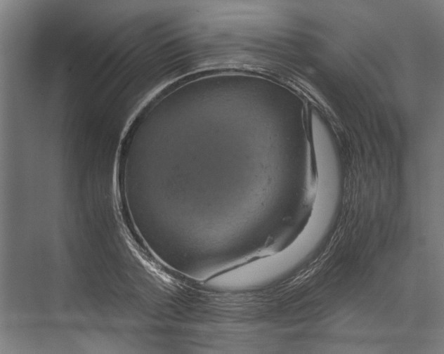 X0000071900788200608041342