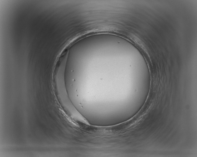 X0000071900789200608041342