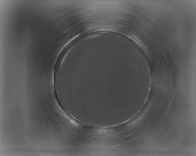 X0000071900790200608041341