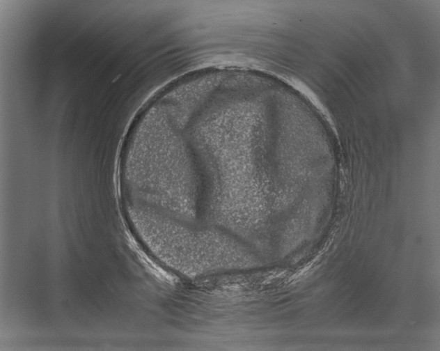 X0000071900791200608041341