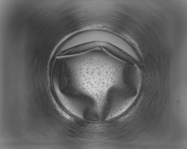 X0000071900792200608041341