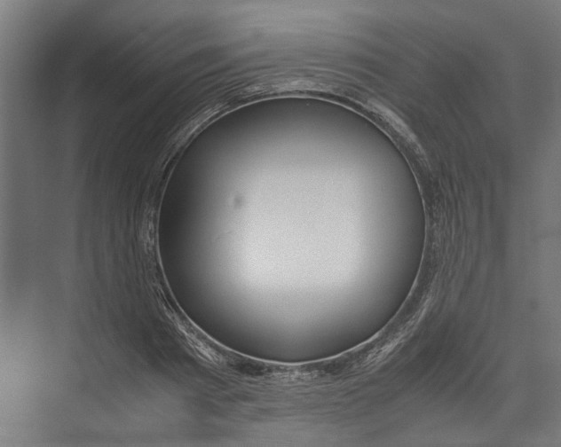 X0000071900793200608041341