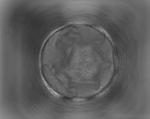 X0000071900795200608041341