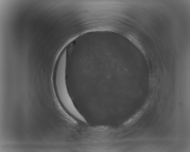 X0000071900797200608041341