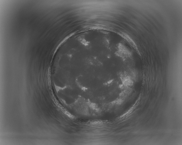 X0000071900798200608041341