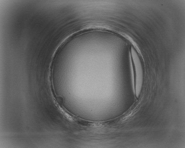 X0000071900799200608041341