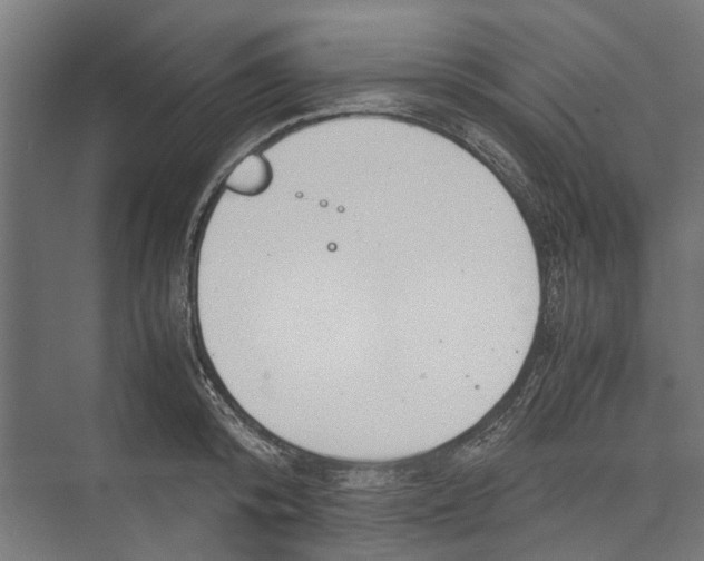 X0000071900800200608041341