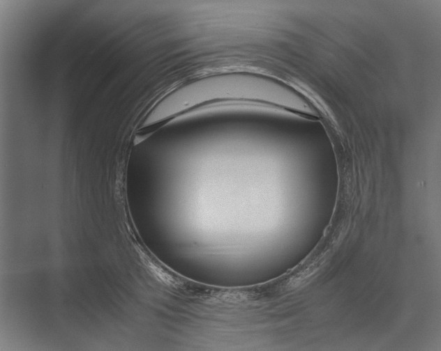 X0000071900801200608041341