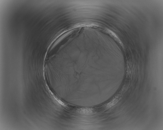 X0000071900802200608041341