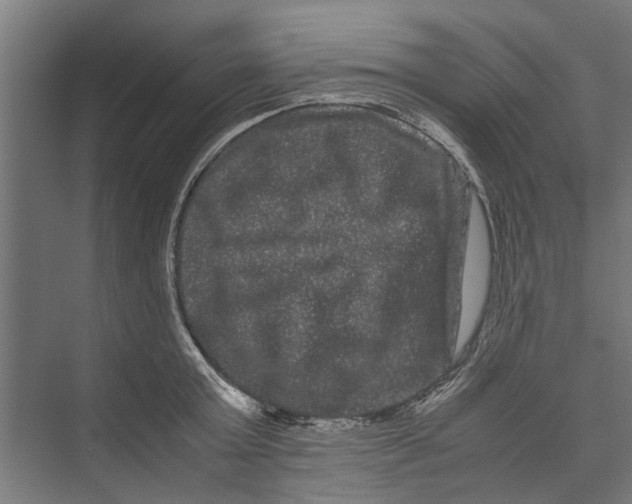 X0000071900803200608041341