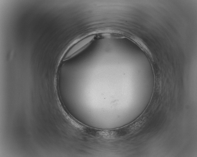 X0000071900805200608041341