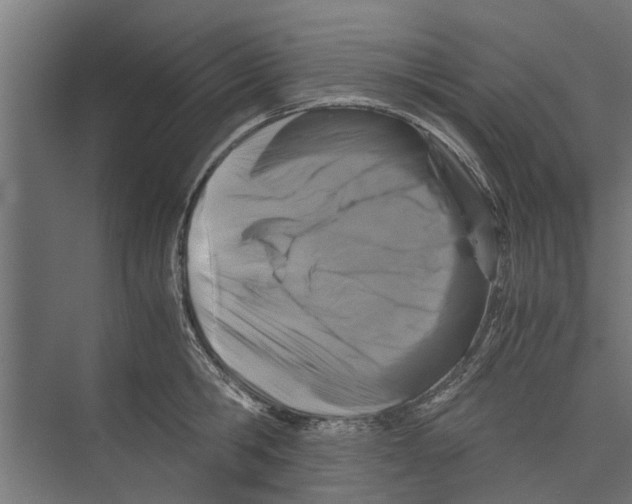 X0000071900806200608041341